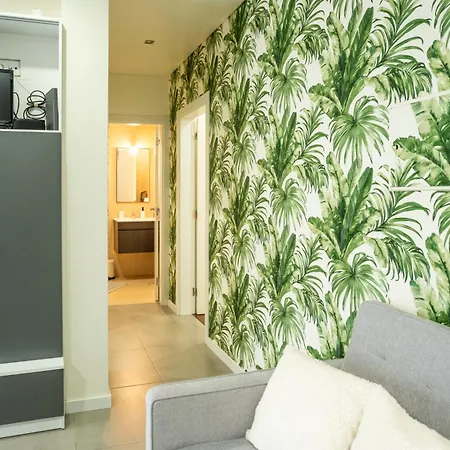 Barca Acustica 公寓 纳扎雷